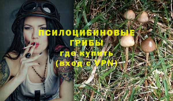 метадон Лиски